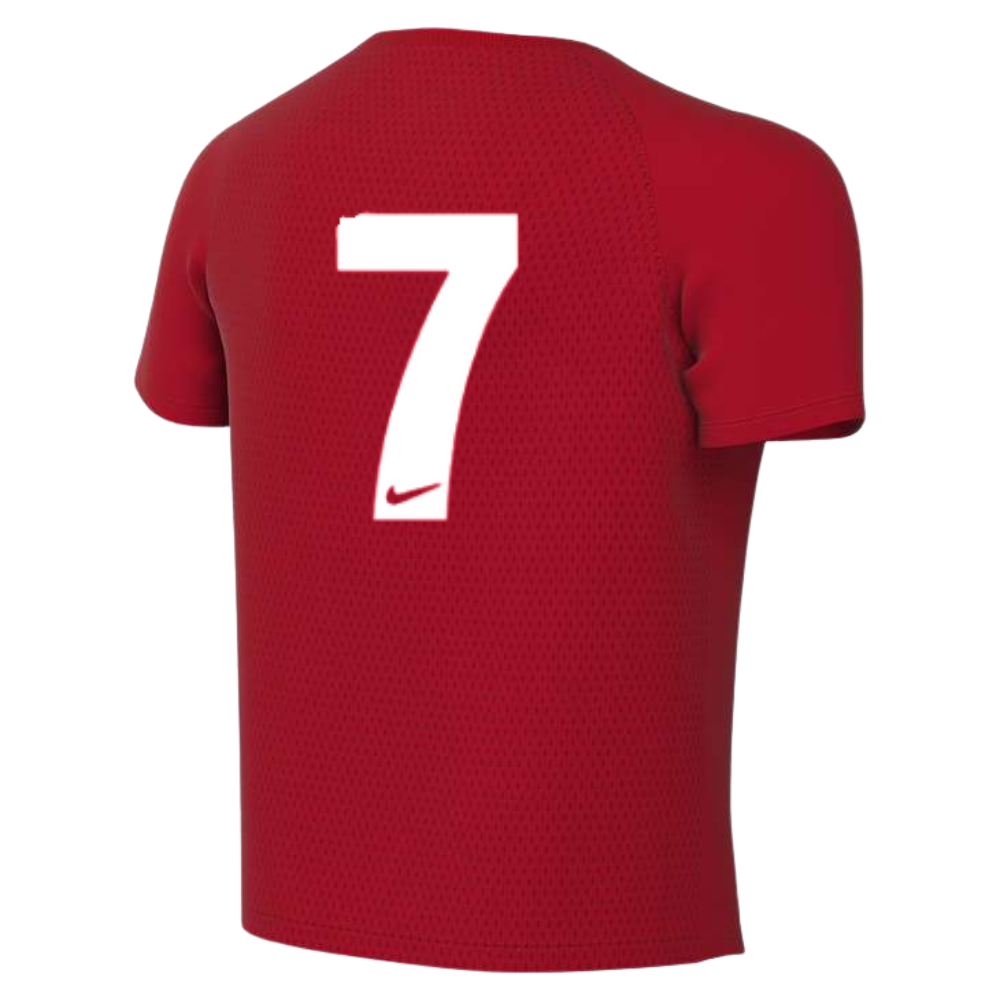 Downshire Nike Park VIII 2016 Match Shirt