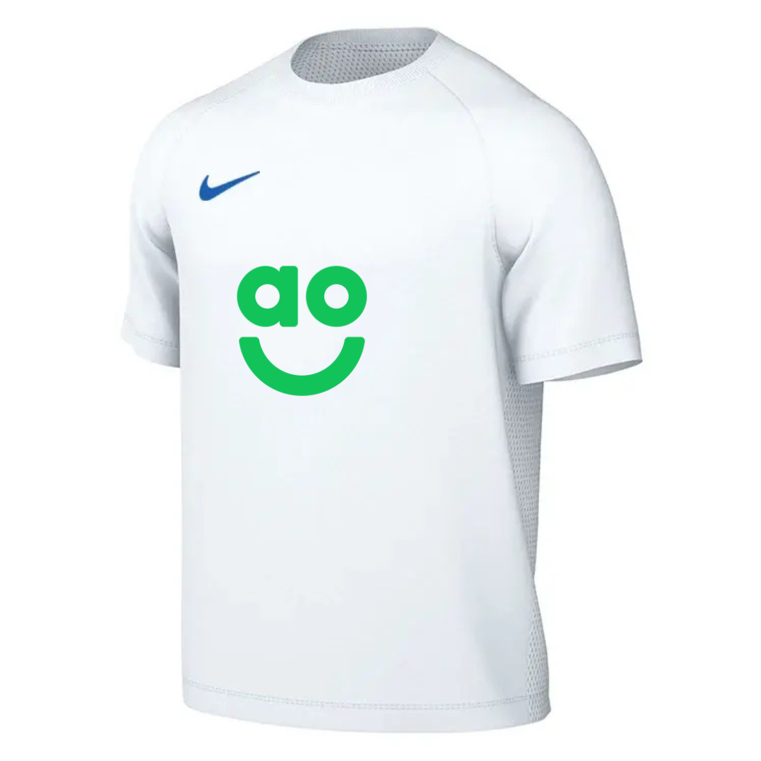 AO Park VIII Nike Shirt