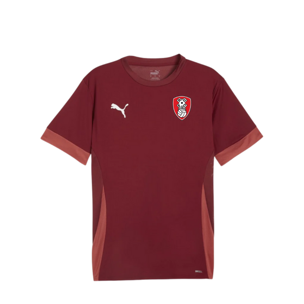 Ability Counts Match Shirt