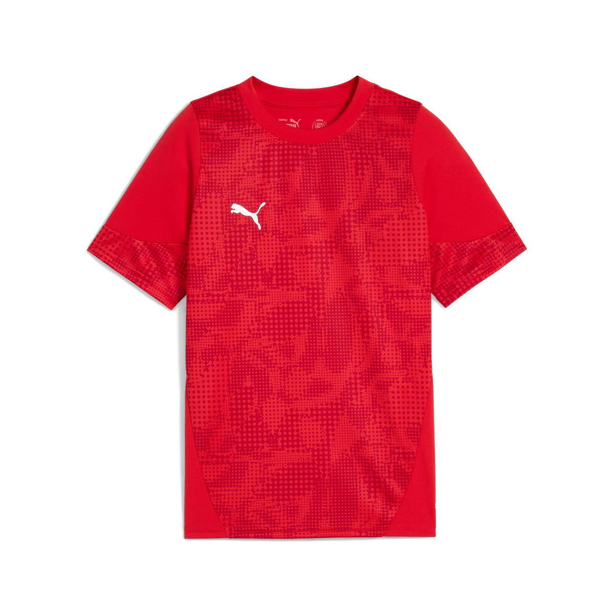 Puma Team CUP 25 Training Jersey