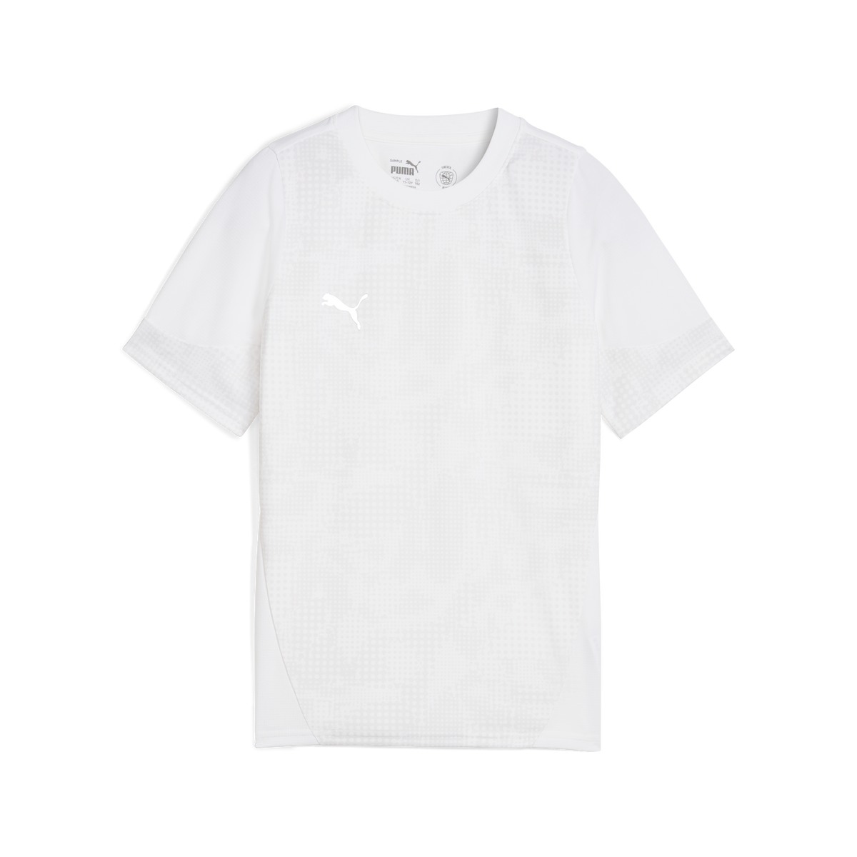 Puma Team CUP 25 Training Jersey