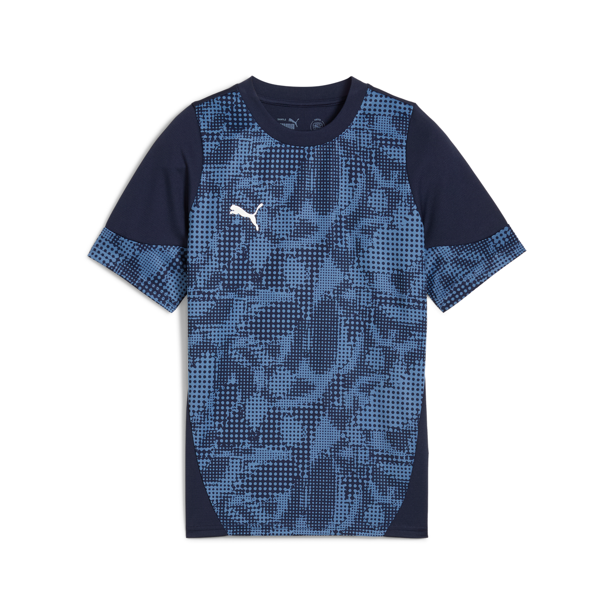 Puma Team CUP 25 Training Jersey