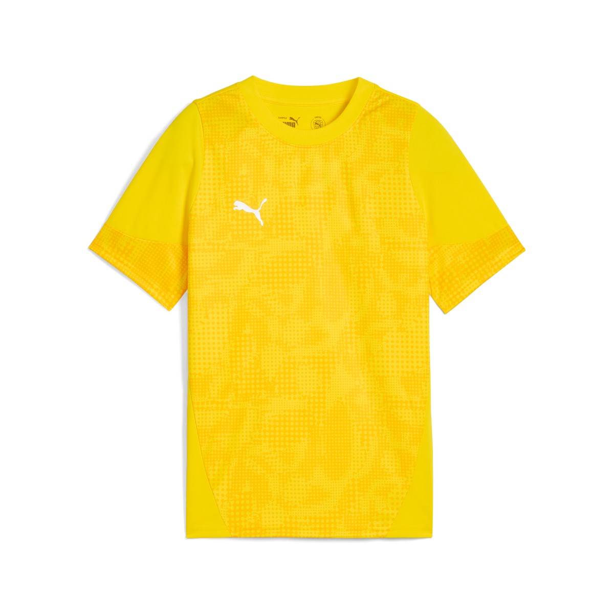 Puma Team CUP 25 Training Jersey