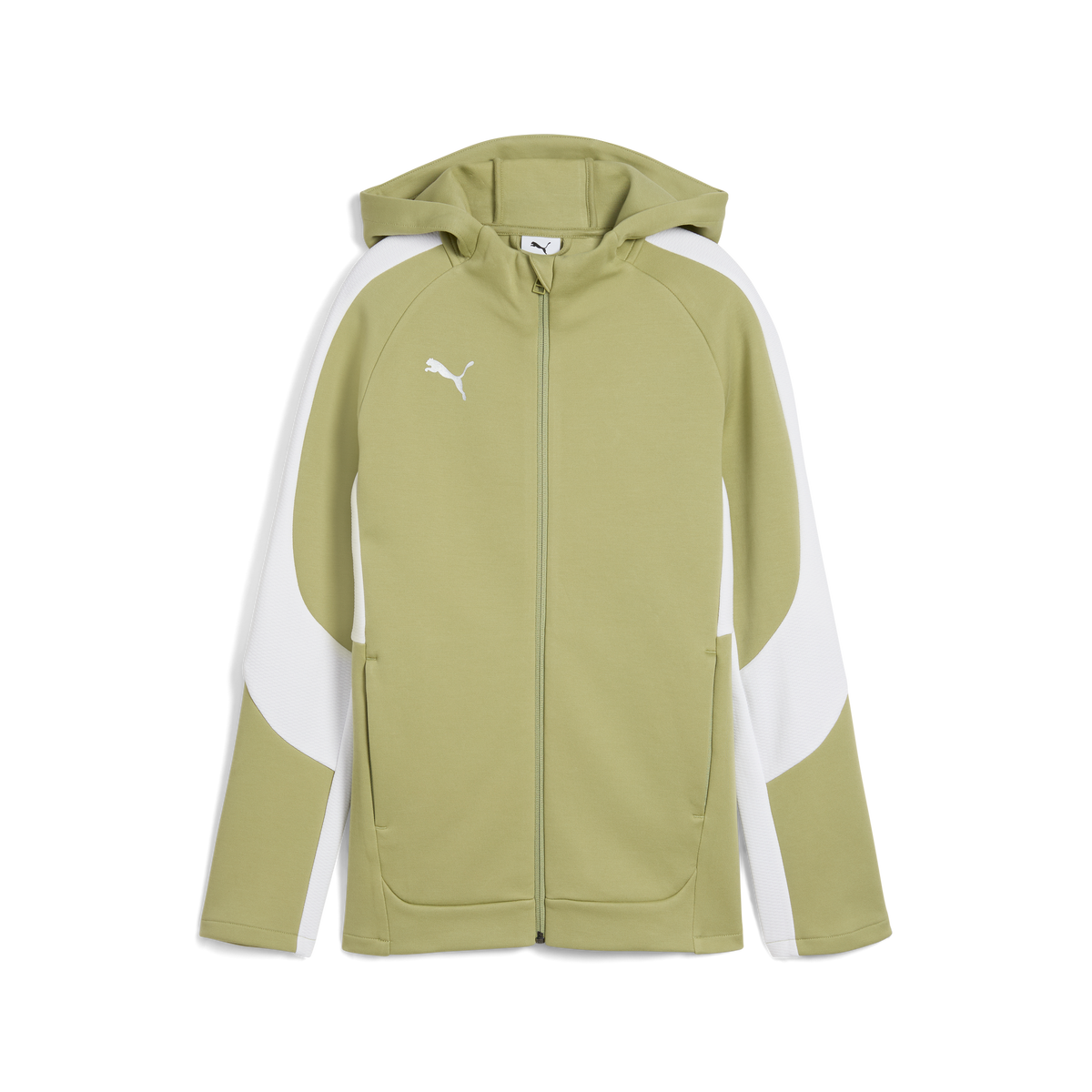 Puma Team EVOSTRIPE 25 Hooded Jacket