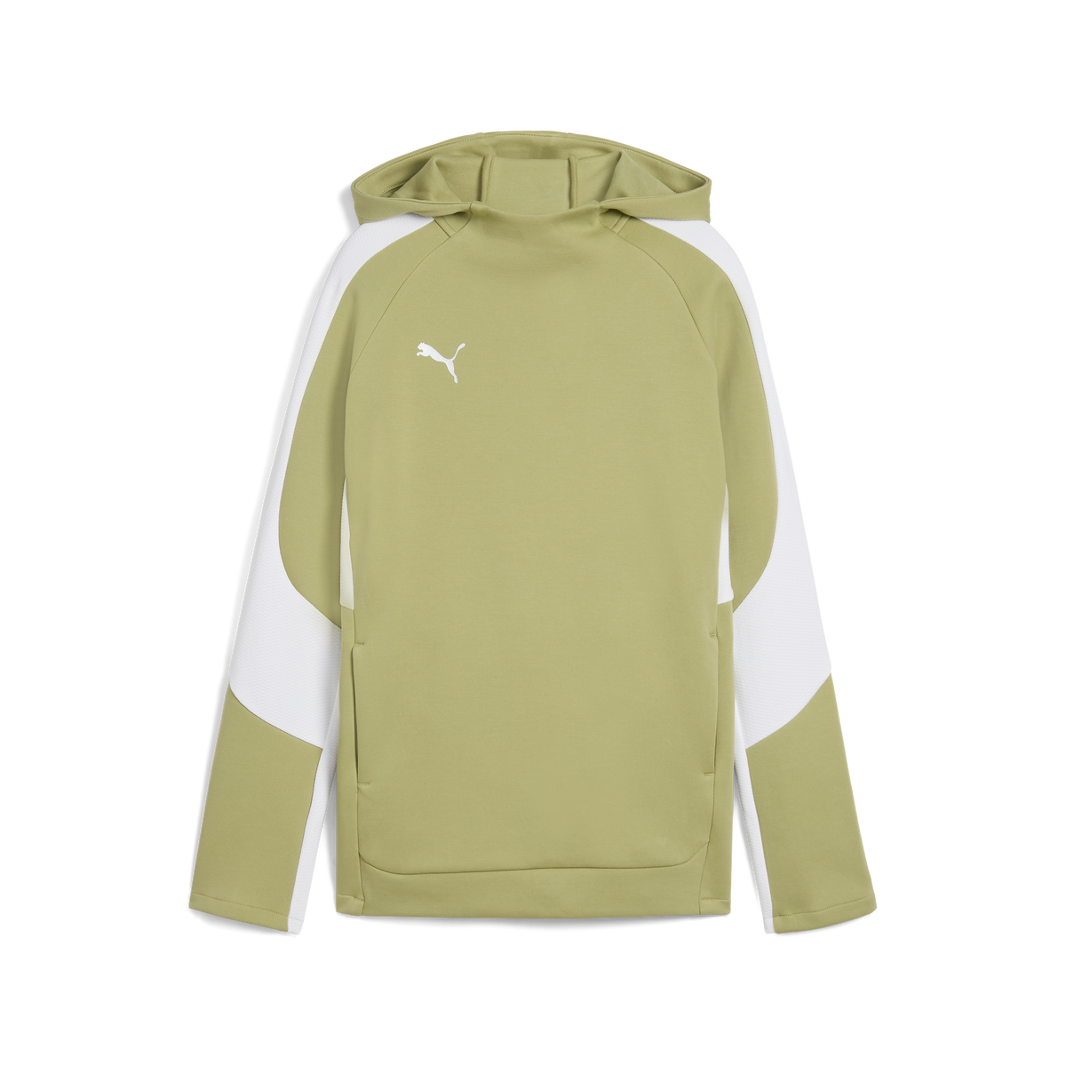 Puma Team EVOSTRIPE 25 Hoody