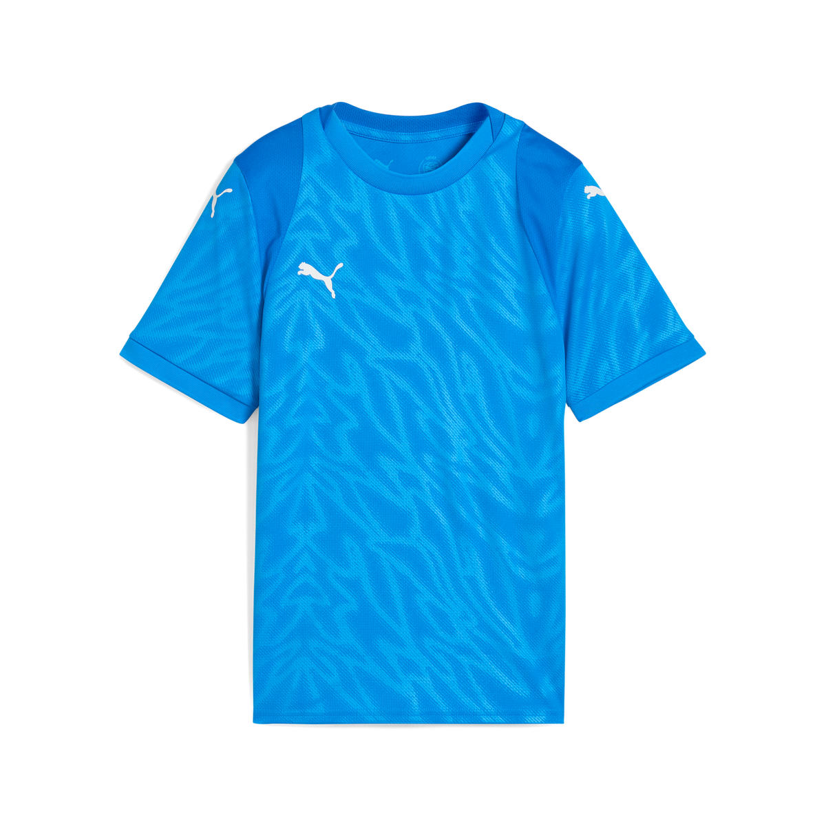 Puma TeamCUP 25 Jersey