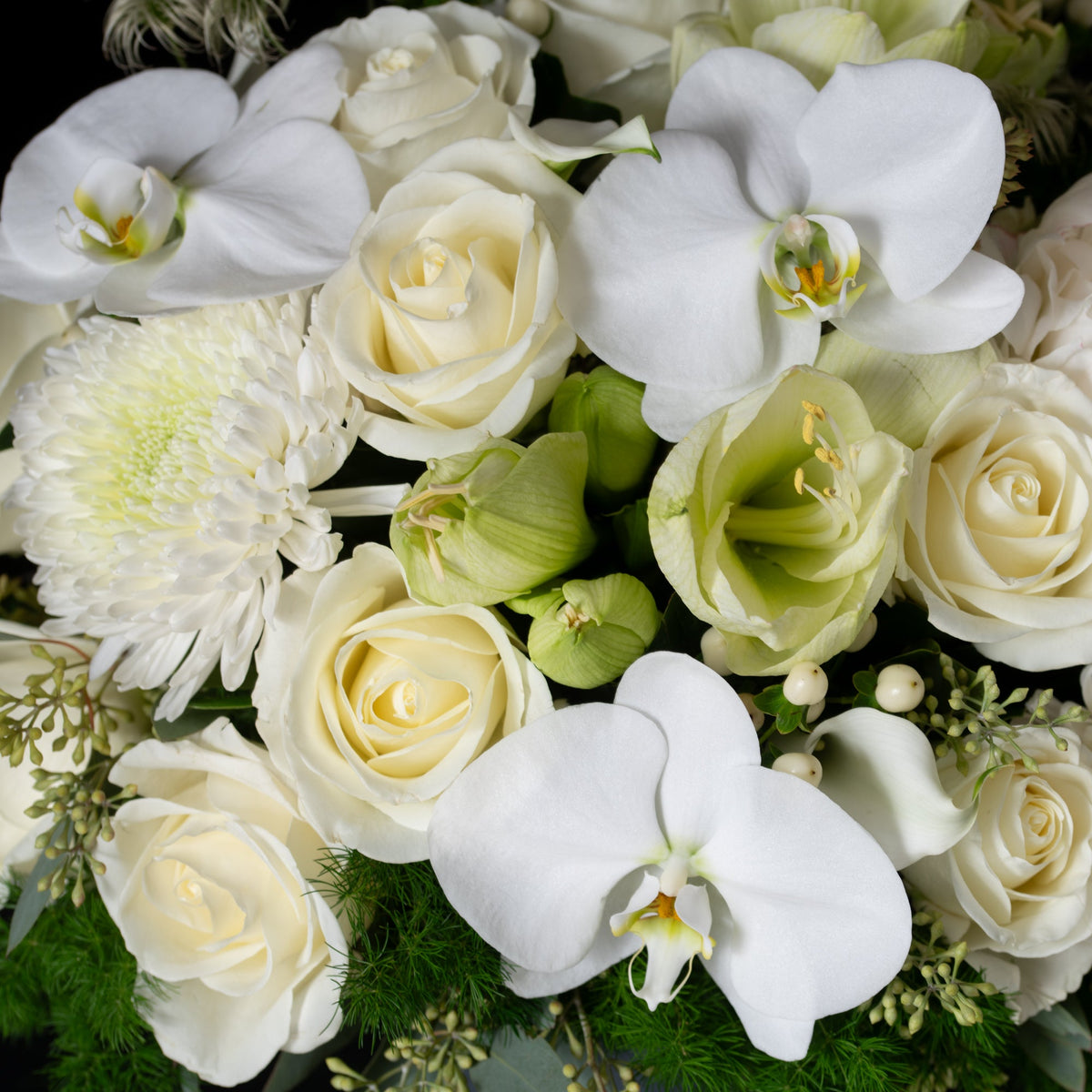 Pure White