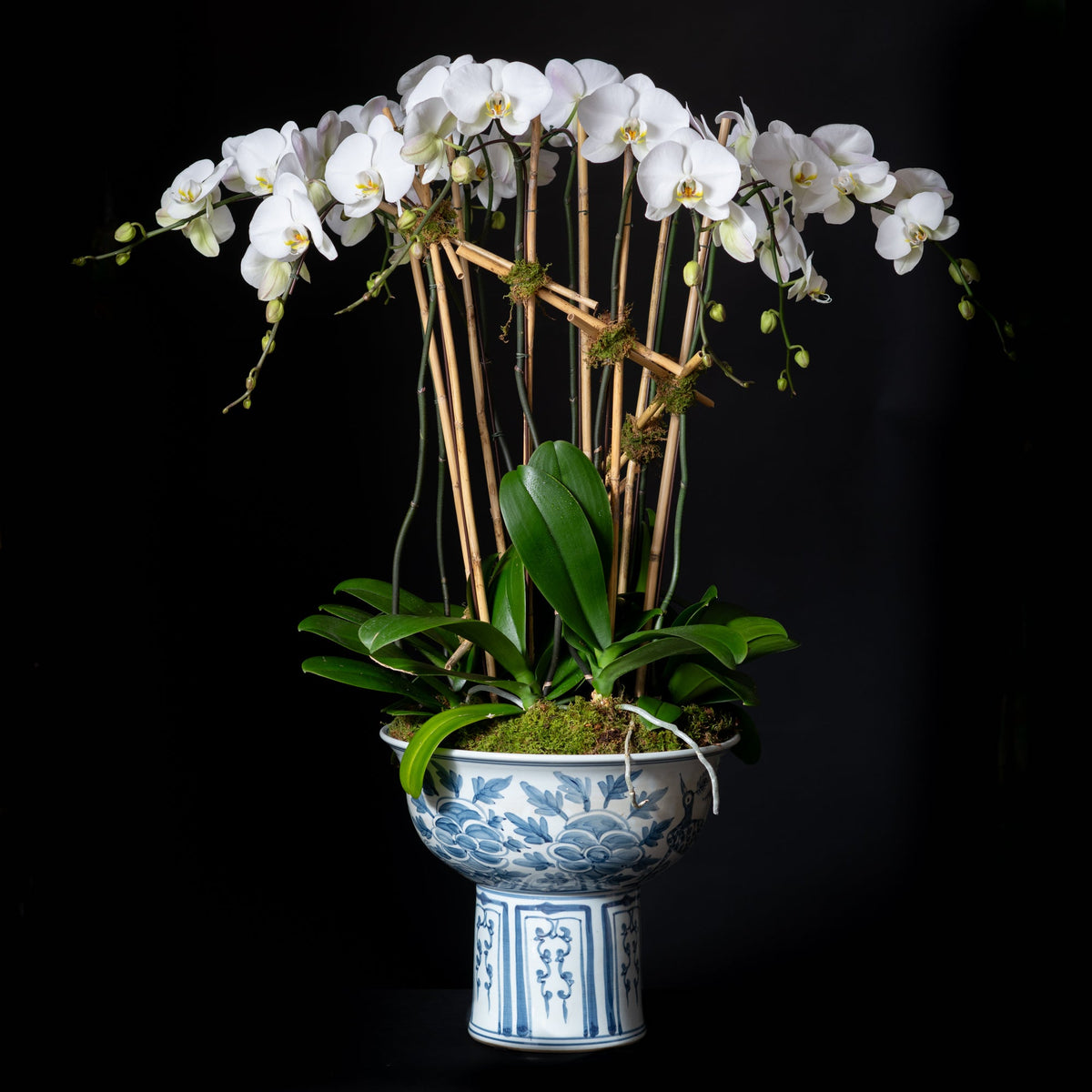 LARGE ORCHID PLANTER - BLUE CRANE