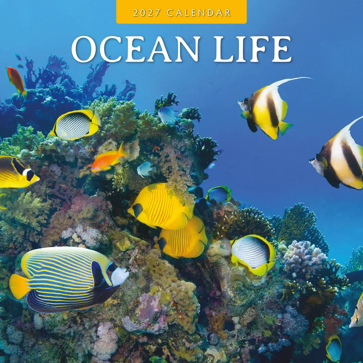 2027 Square Wall Calendar Ocean Life (RR271306)