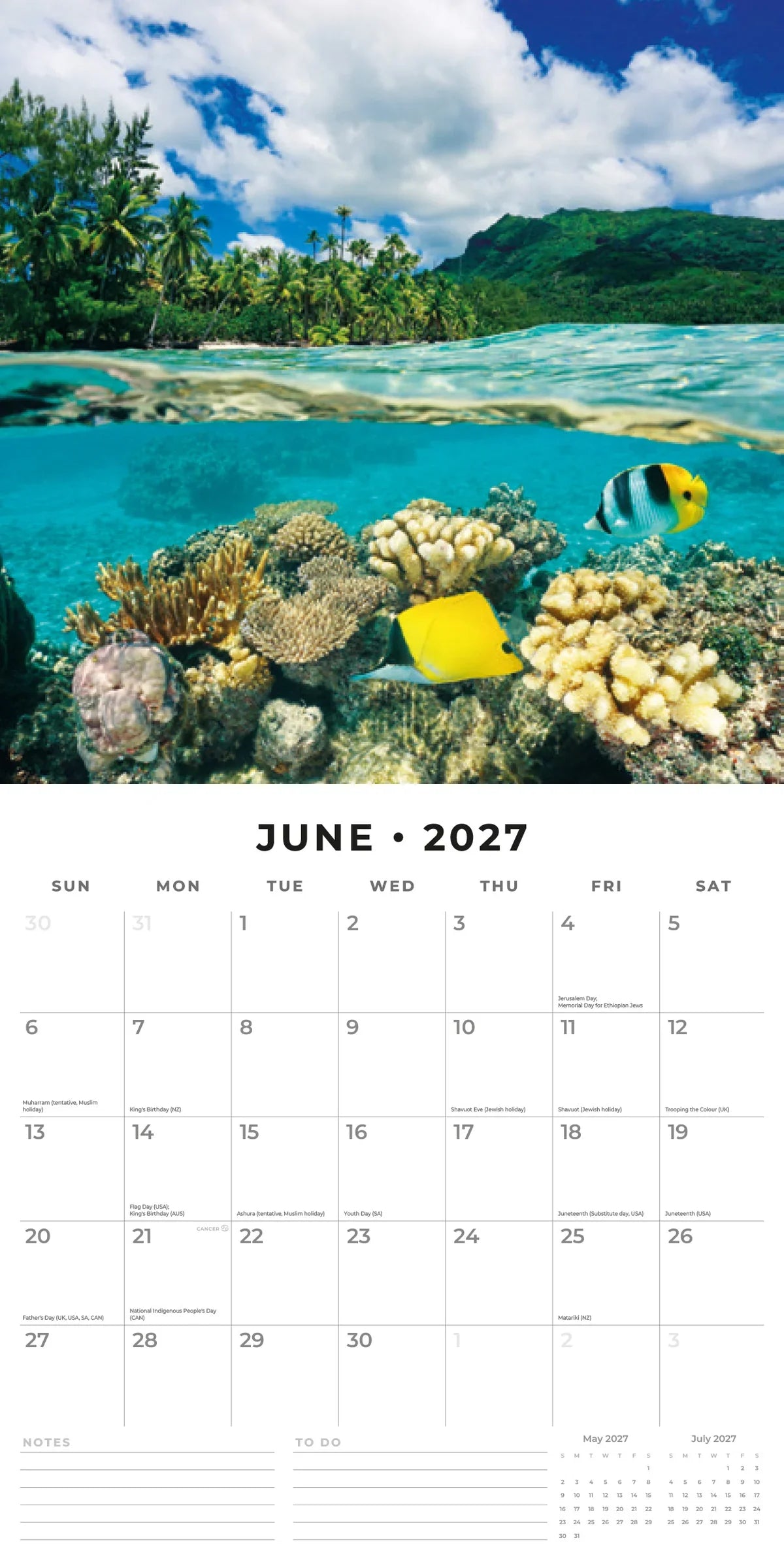 2027 Square Wall Calendar Ocean Life (RR271306)