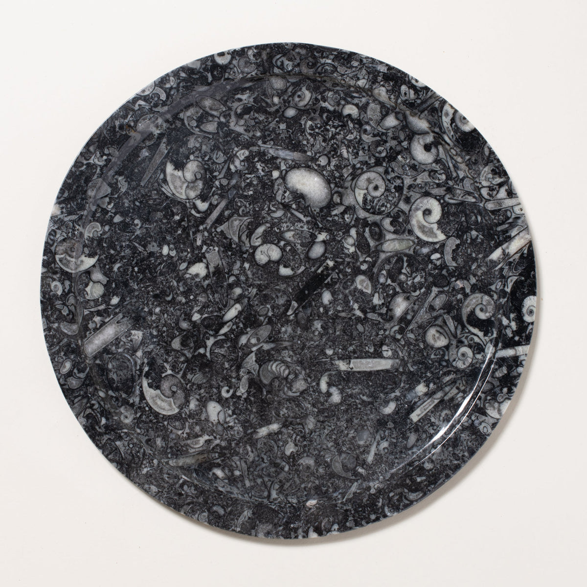 Ammonite Plate