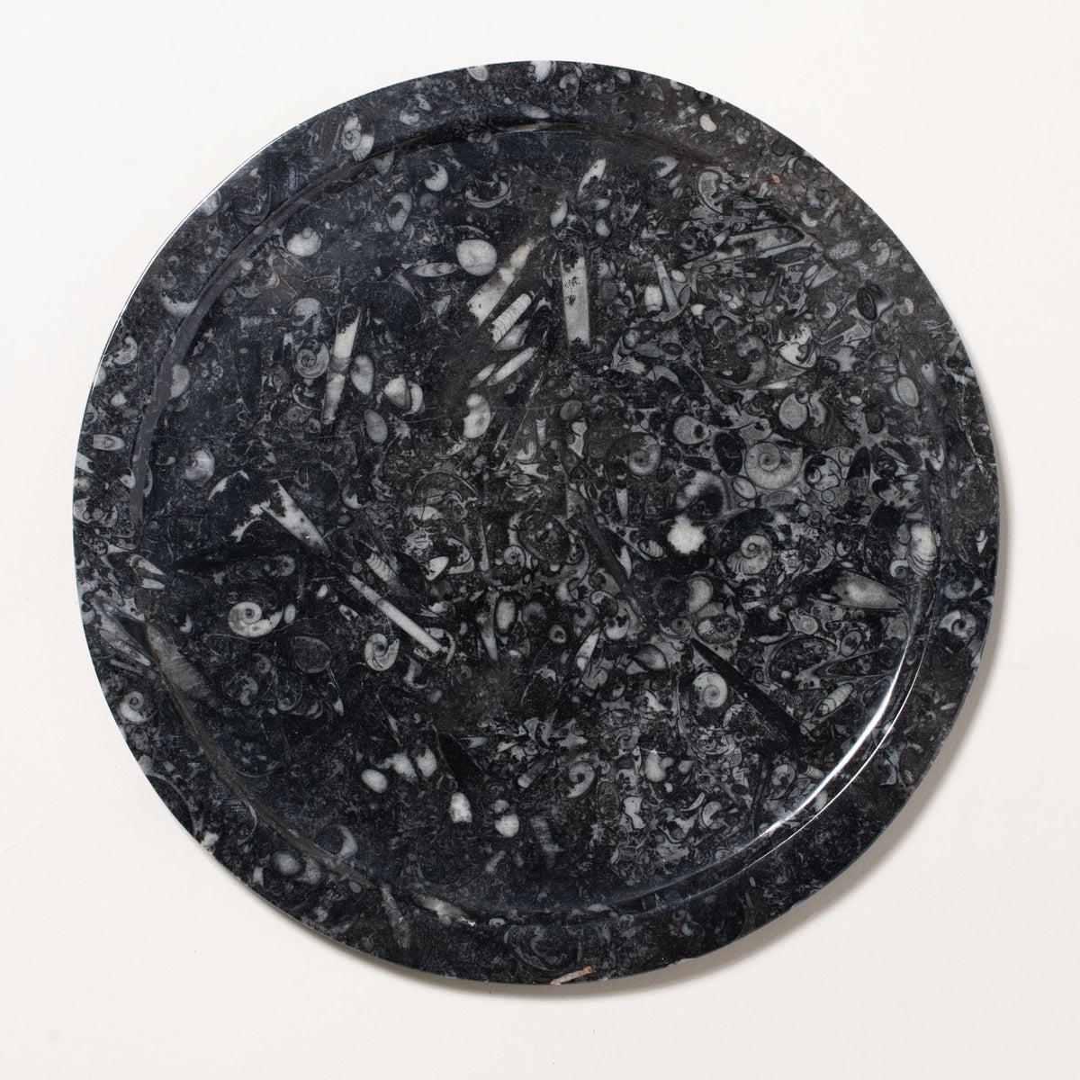 Ammonite Plate