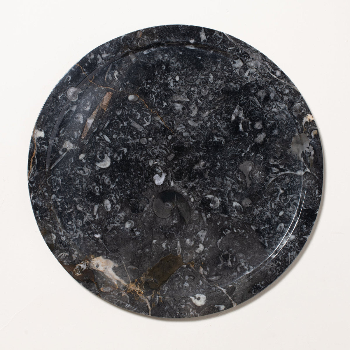 Ammonite Plate