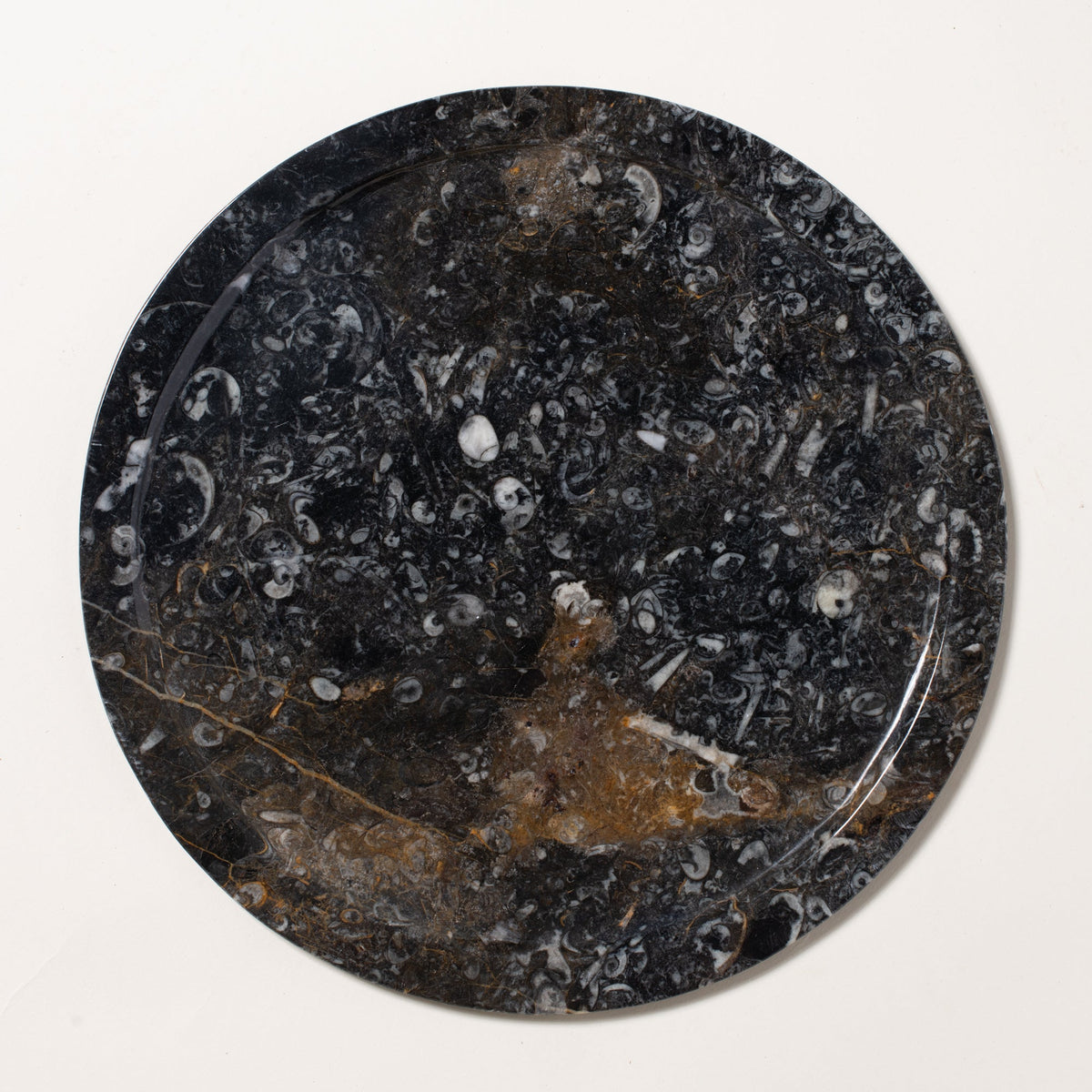 Ammonite Plate