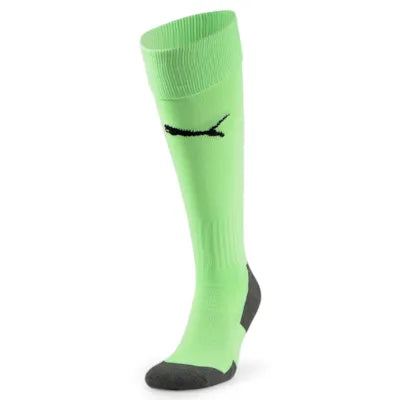 Puma TeamLIGA Socks Core