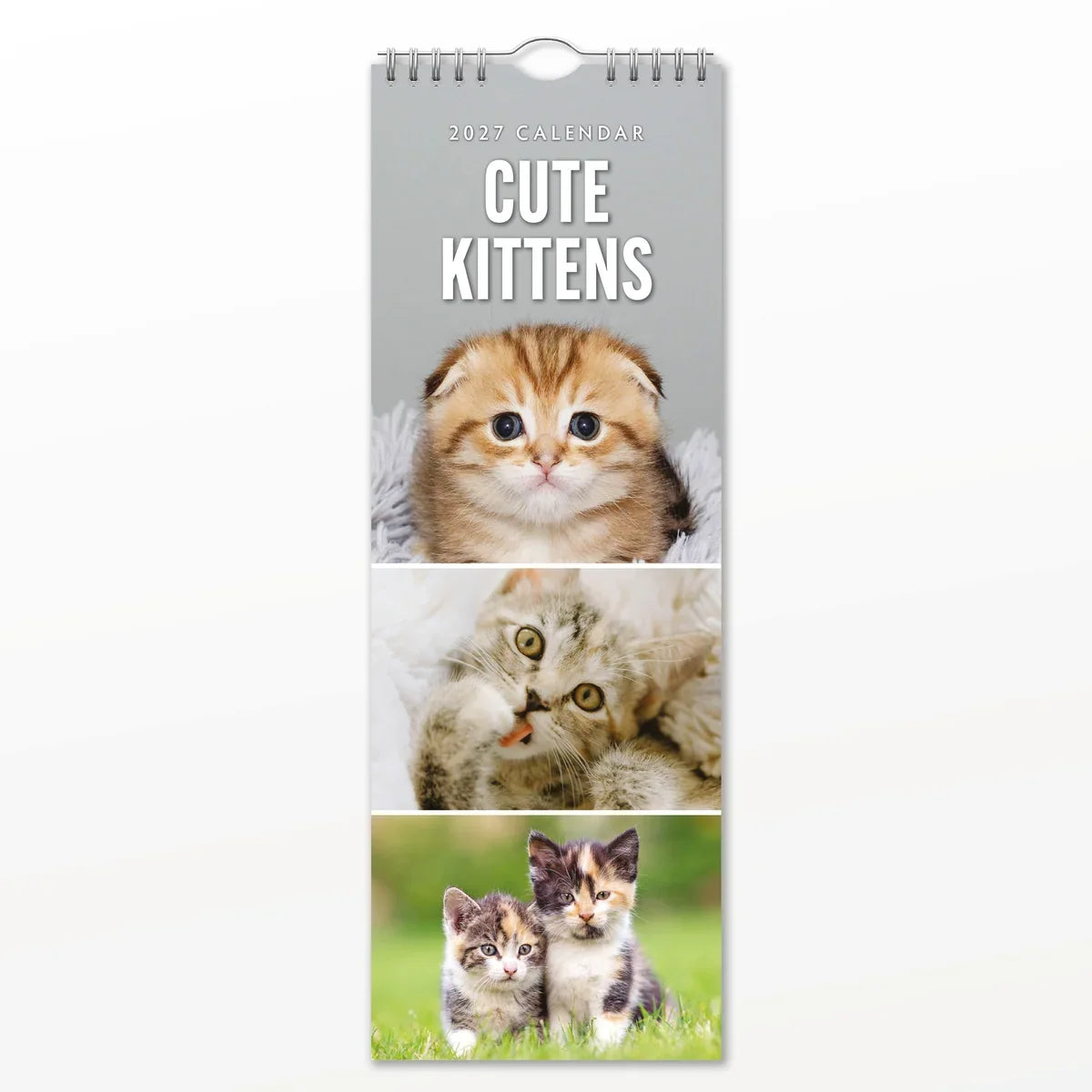 2027 Slimline Calendar Cute Kittens (RR272008)