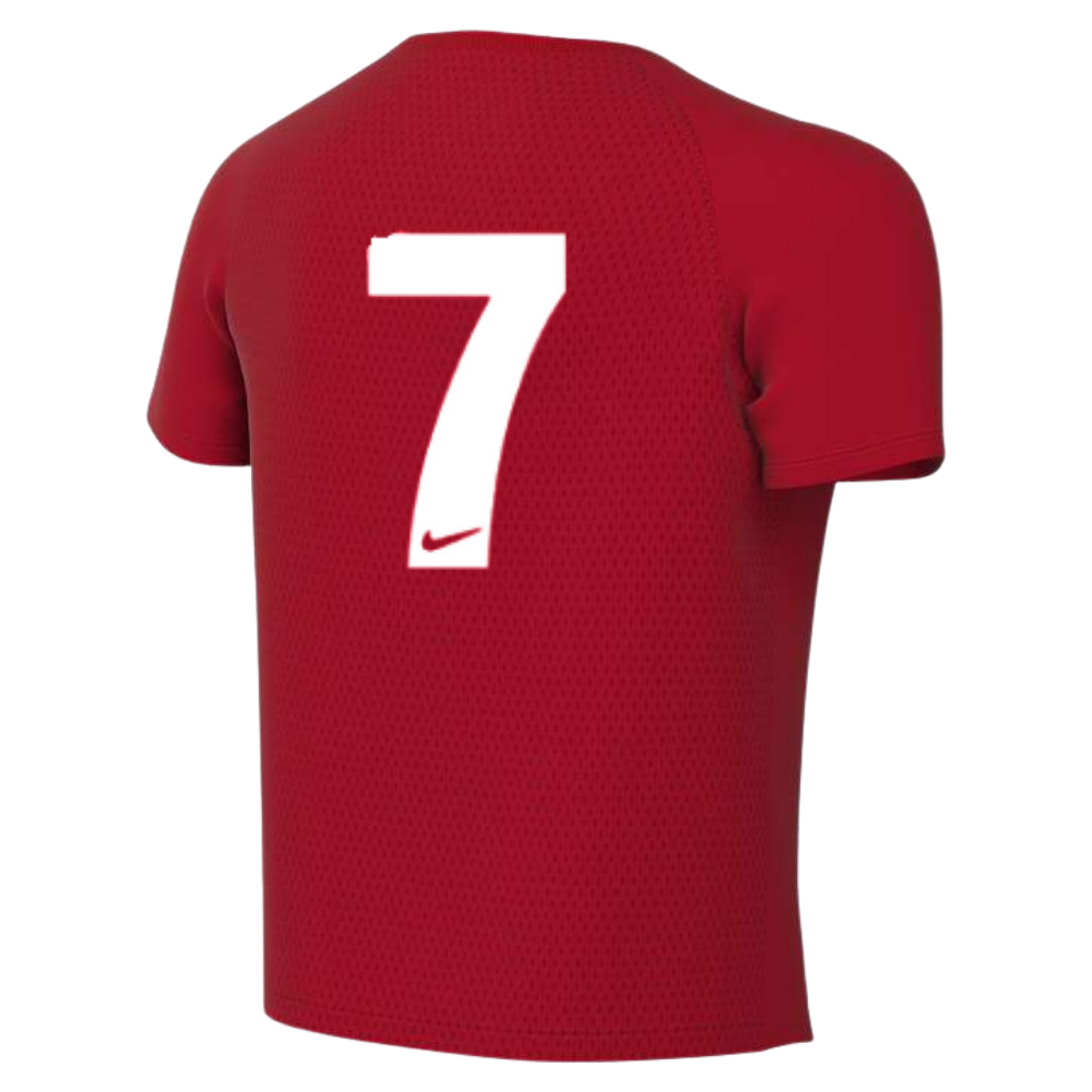 Downshire Nike Park VIII 2019 Match Shirt