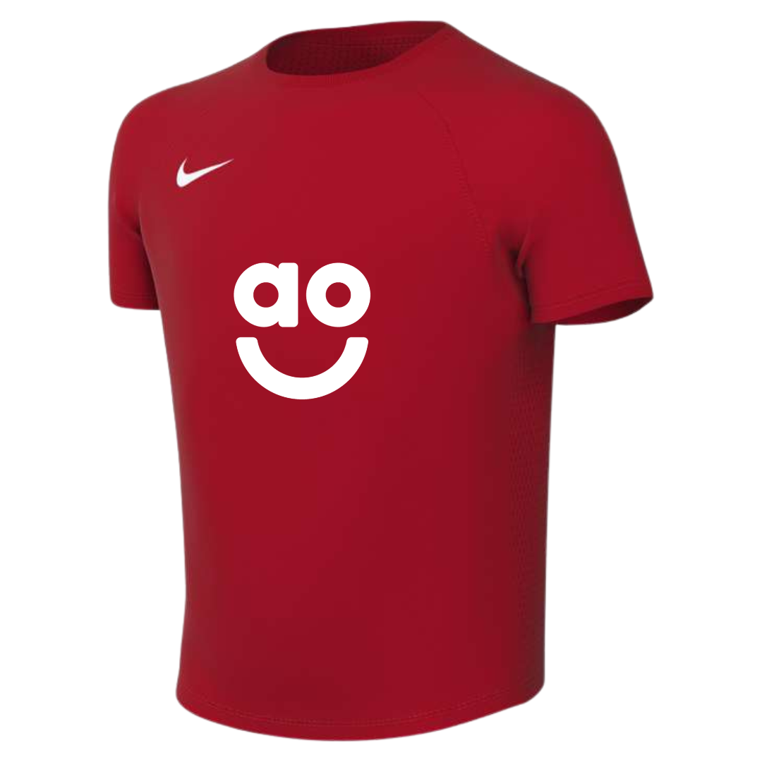 AO Park VIII Nike Shirt