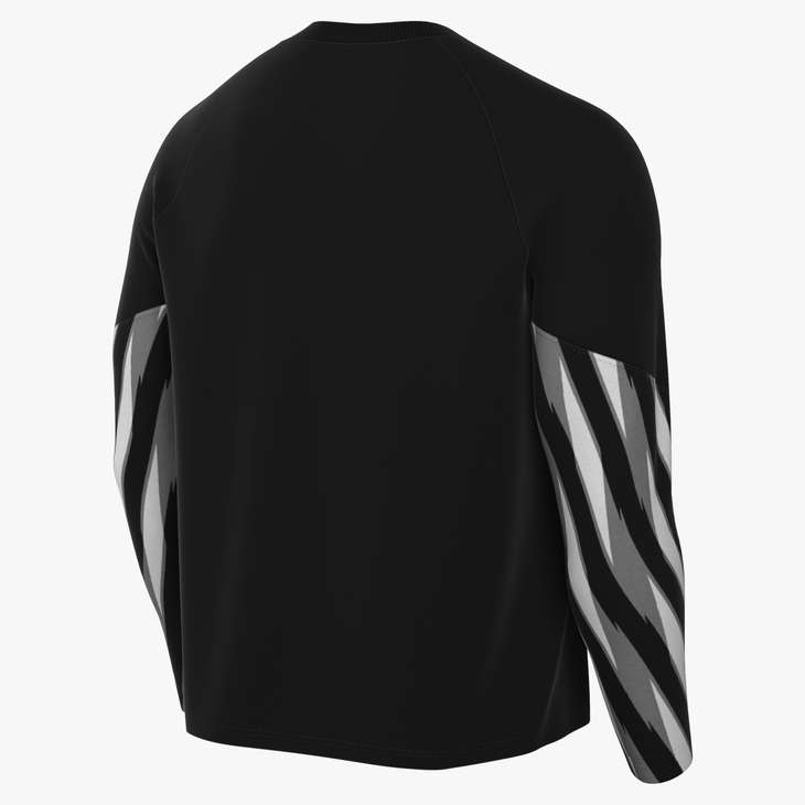 AO Park V Goalkeeper Shirt