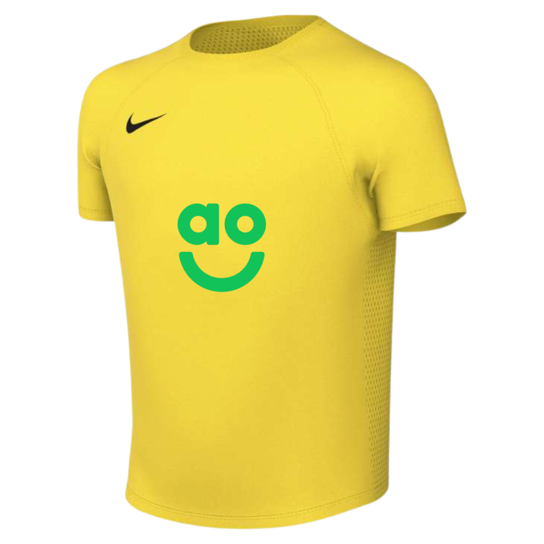 AO Park VIII Nike Shirt