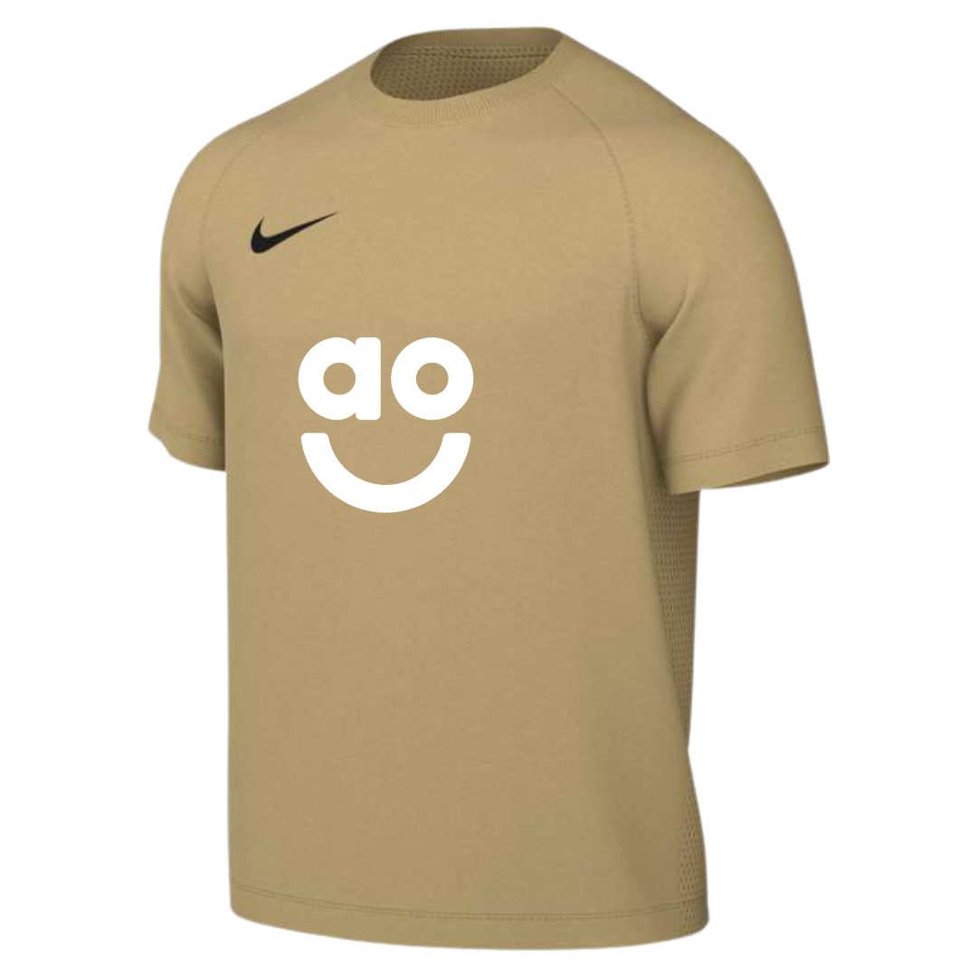 AO Park VIII Nike Shirt