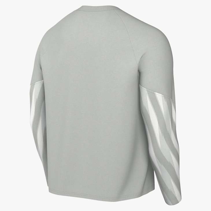 AO Park V Goalkeeper Shirt
