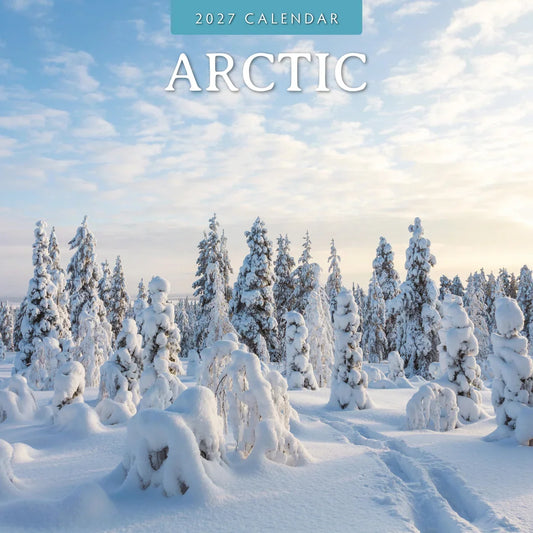 2027 Square Wall Calendar Arctic (RR271293)