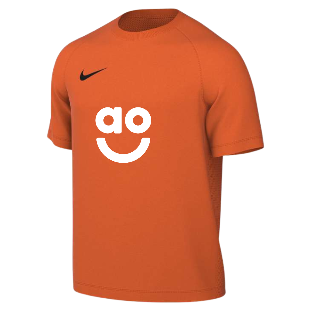 AO Park VIII Nike Shirt