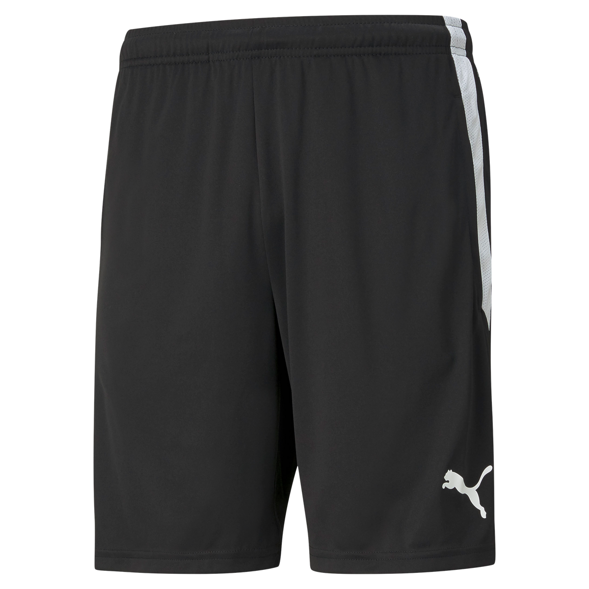 Duchy College Shorts