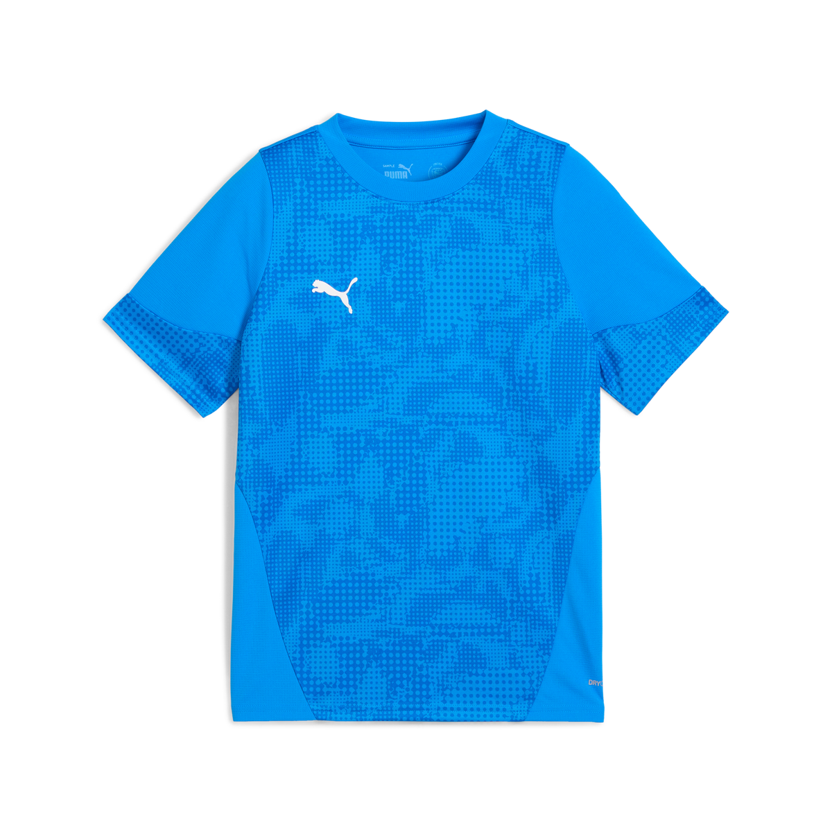 Puma Team CUP 25 Training Jersey