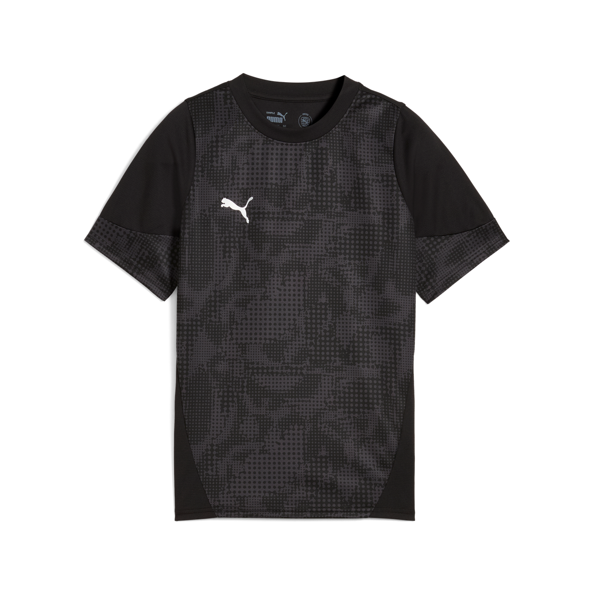 Puma Team CUP 25 Training Jersey