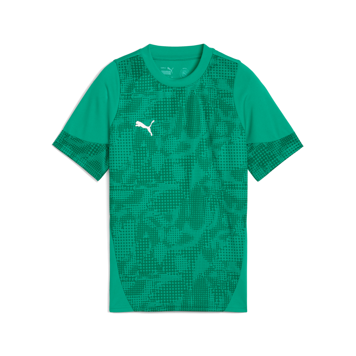 Puma Team CUP 25 Training Jersey