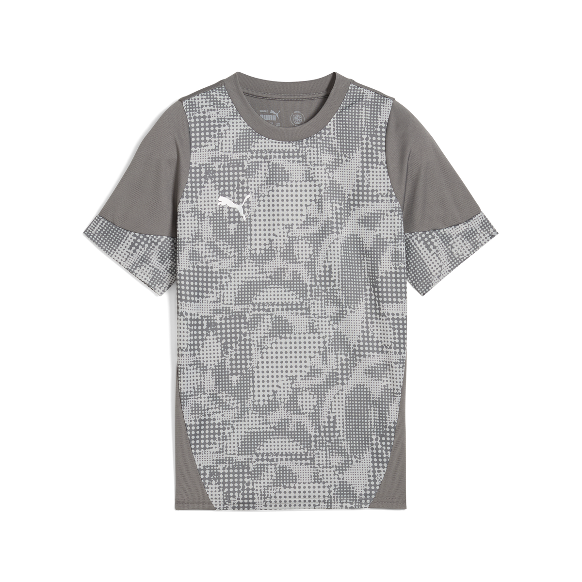 Puma Team CUP 25 Training Jersey