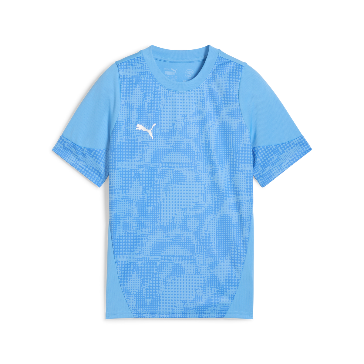 Puma Team CUP 25 Training Jersey