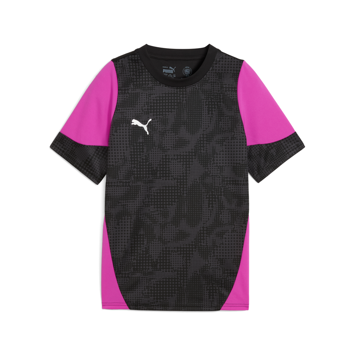 Puma Team CUP 25 Training Jersey
