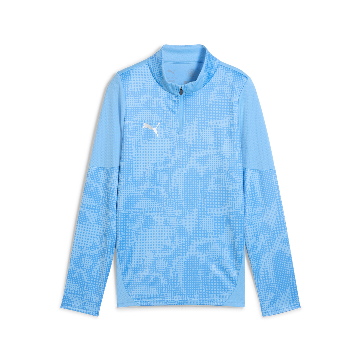 Puma Team CUP 25 Training 1/4 Zip Top