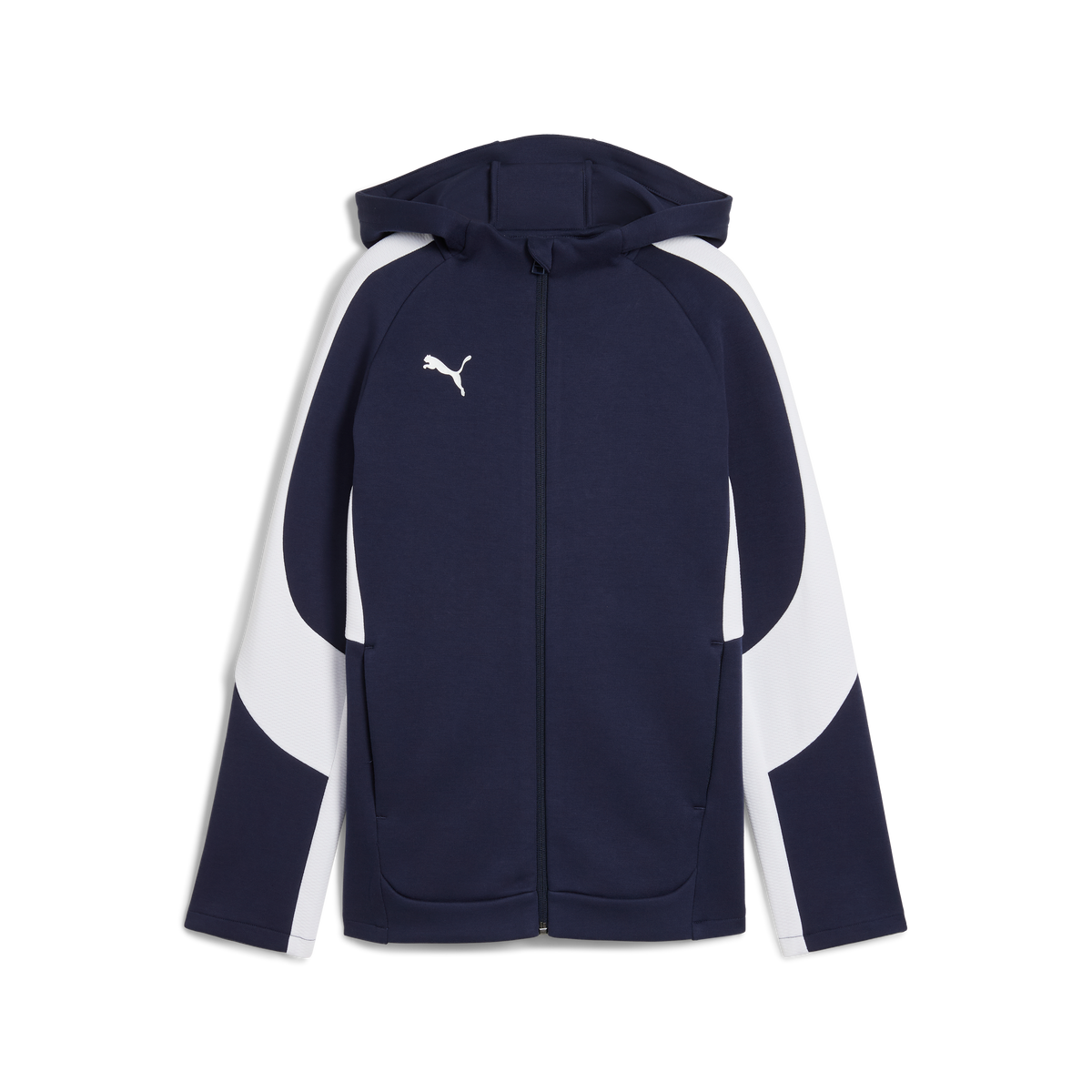 Puma Team EVOSTRIPE 25 Hooded Jacket