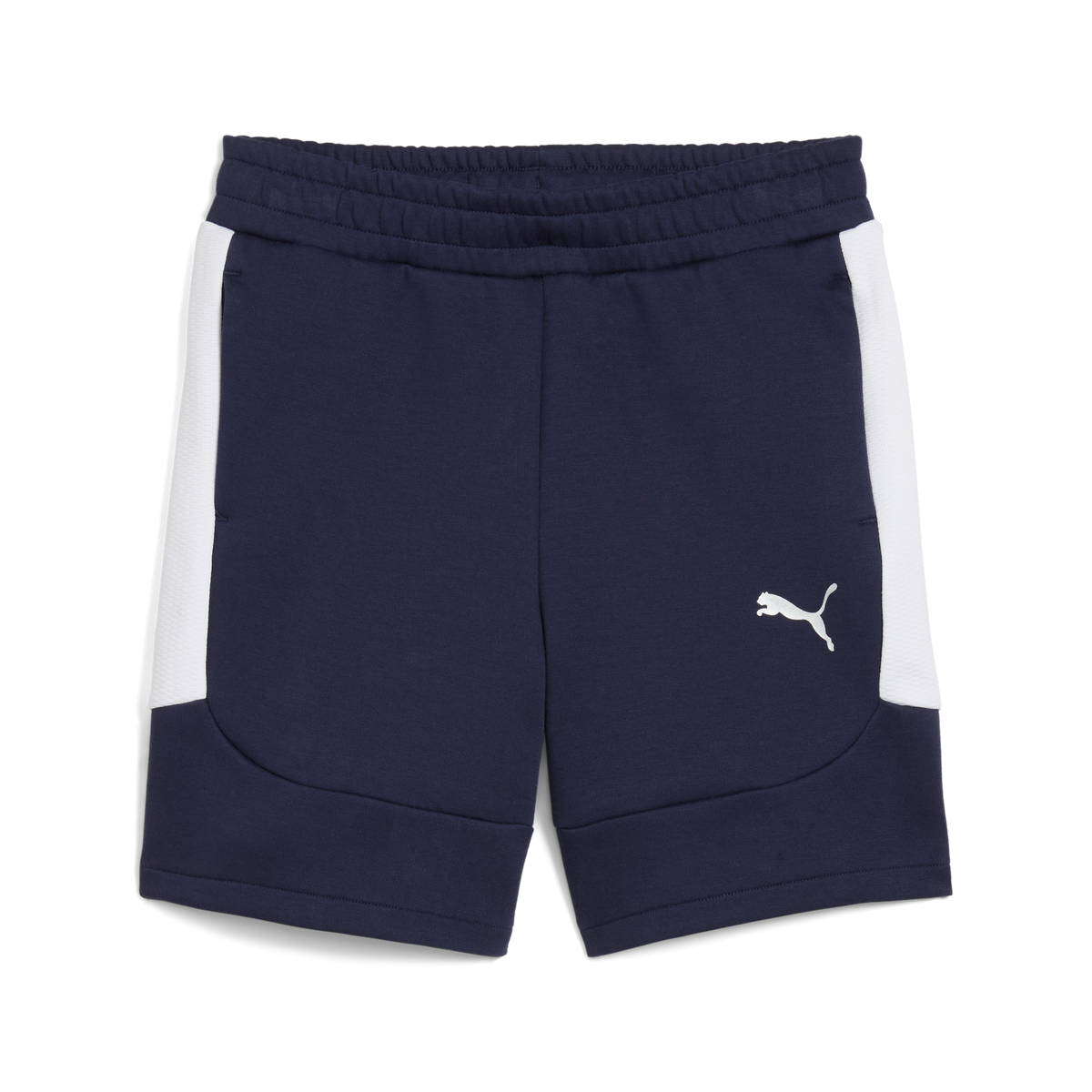 Puma Team EVOSTRIPE 25 Shorts