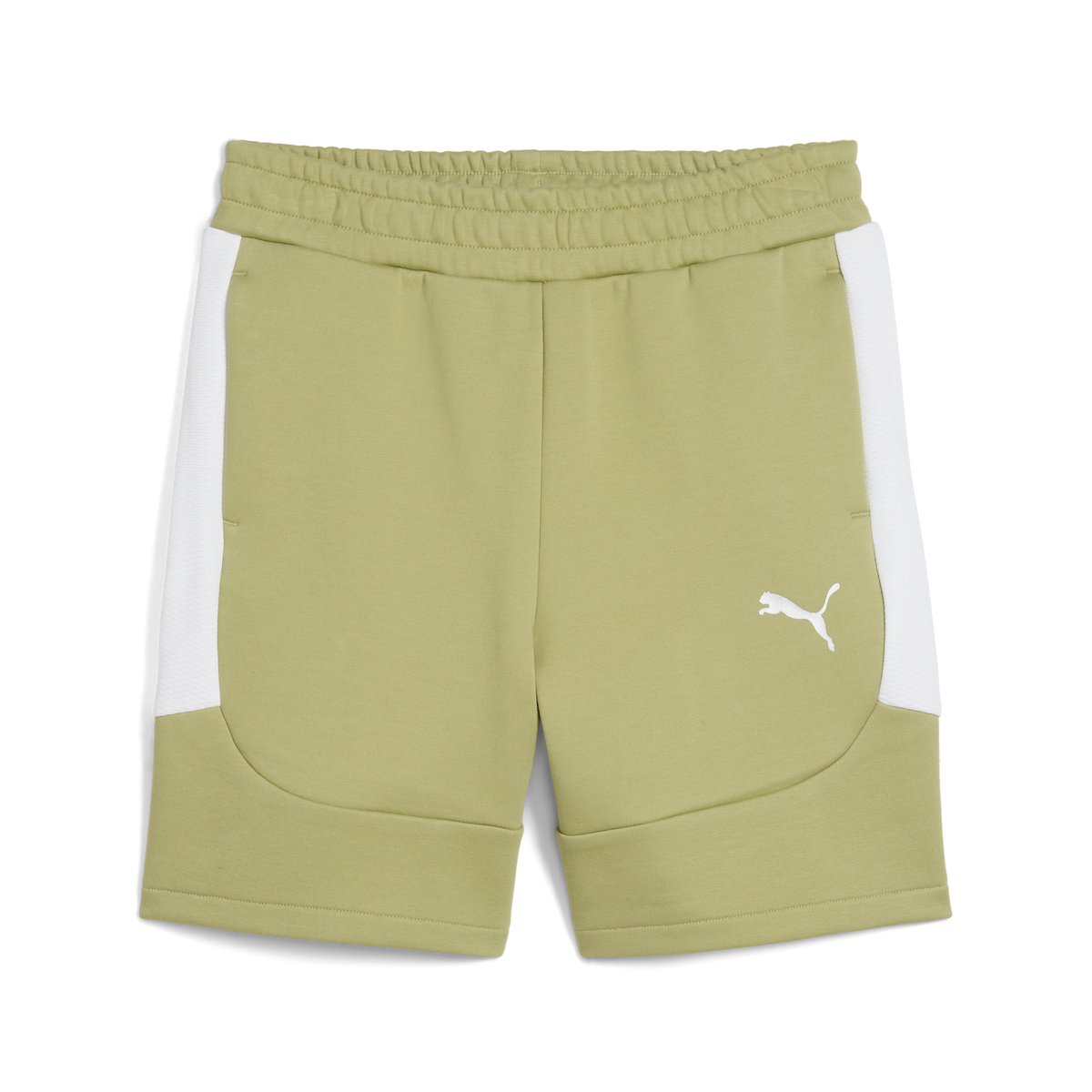 Puma Team EVOSTRIPE 25 Shorts