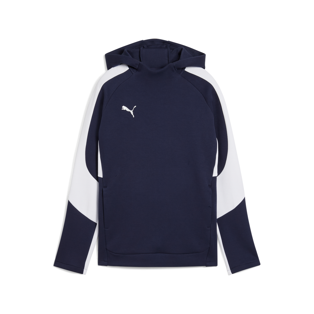Puma Team EVOSTRIPE 25 Hoody