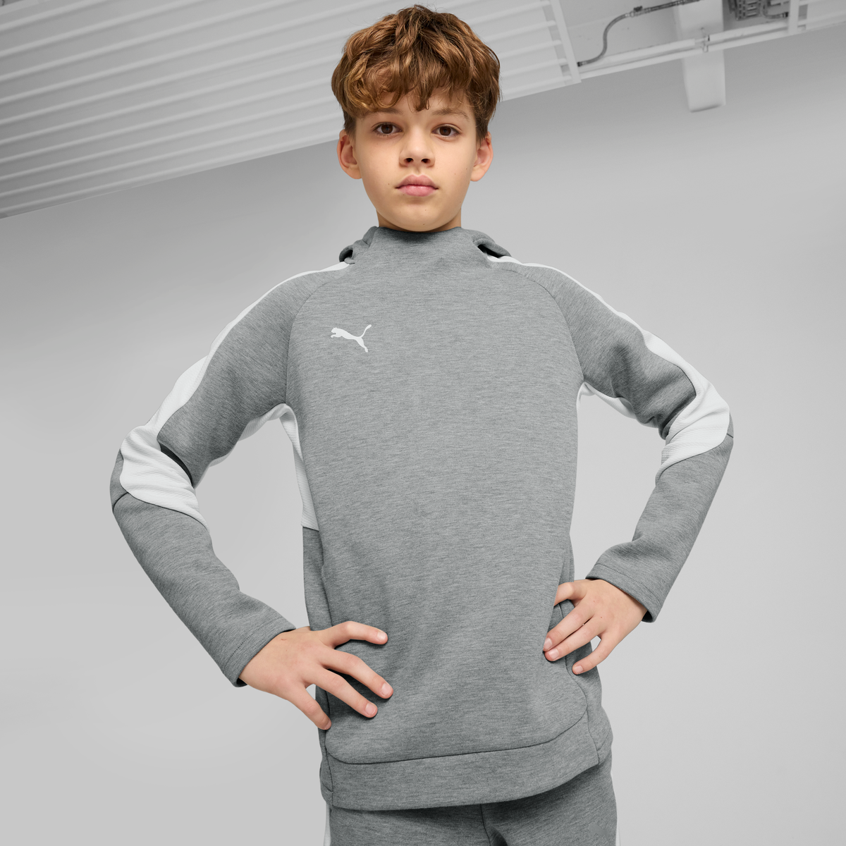 Puma Team EVOSTRIPE 25 Hoody