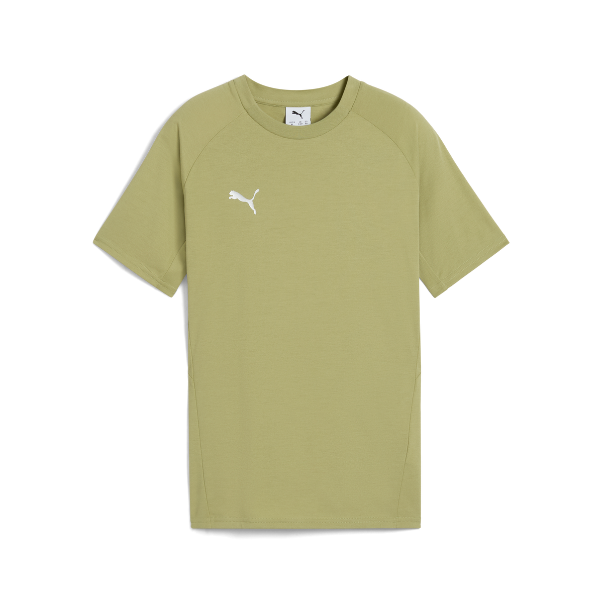 Puma Team EVOSTRIPE 25 Tee