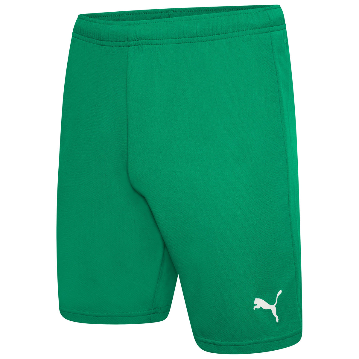 Coerver Coaching - Player's Green Training Shorts