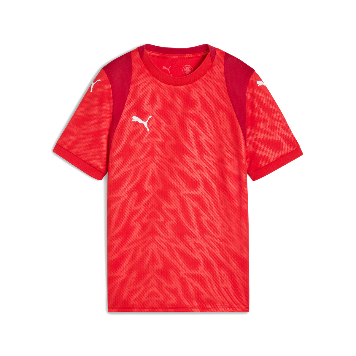 Puma TeamCUP 25 Jersey
