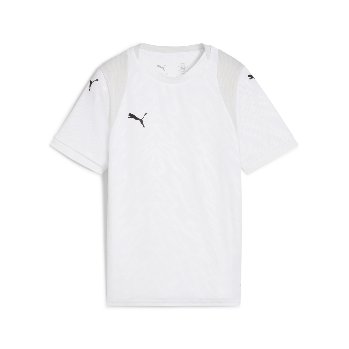 Puma TeamCUP 25 Jersey