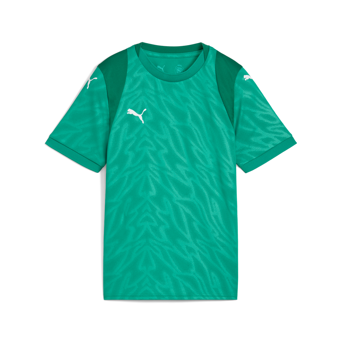 Puma TeamCUP 25 Jersey