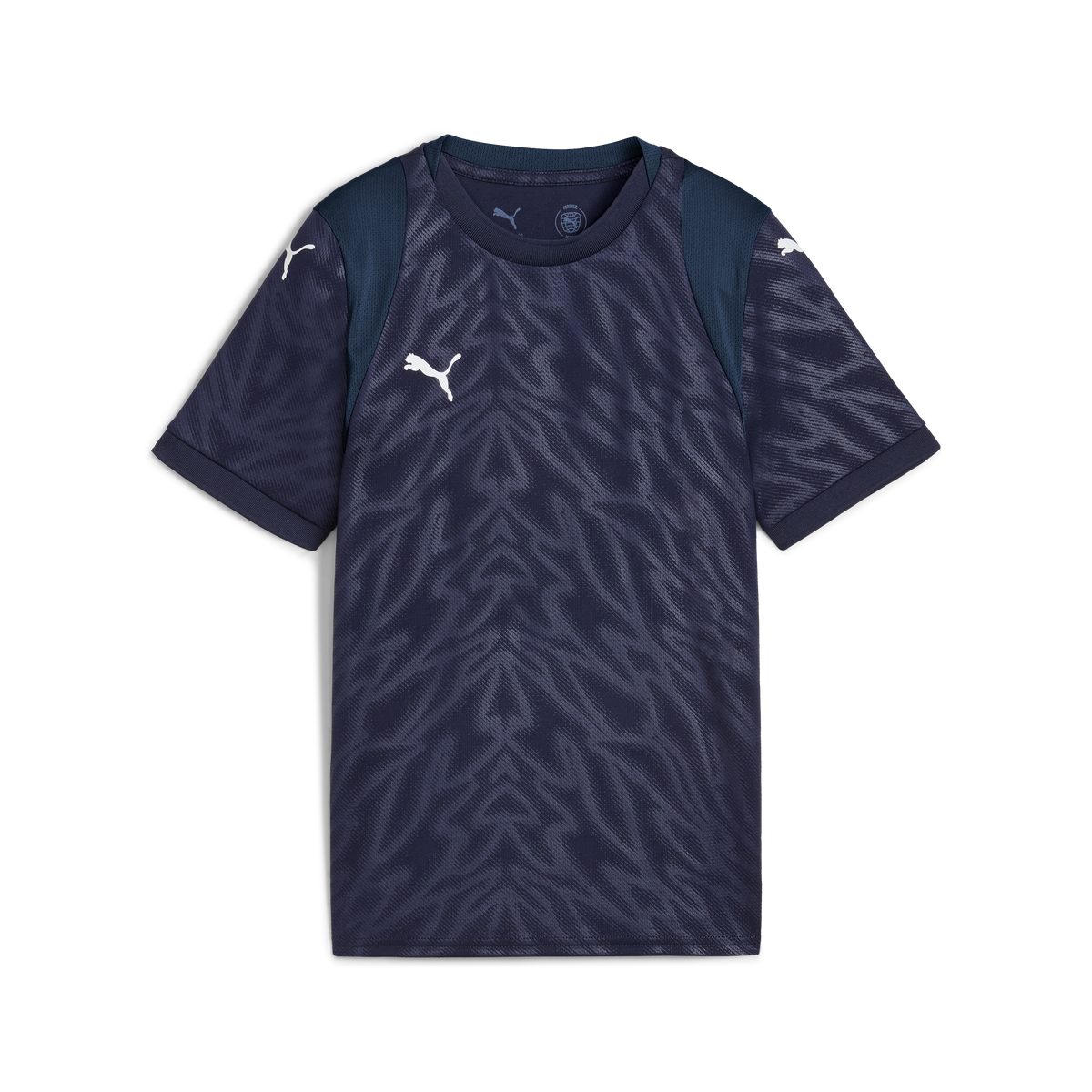 Puma TeamCUP 25 Jersey