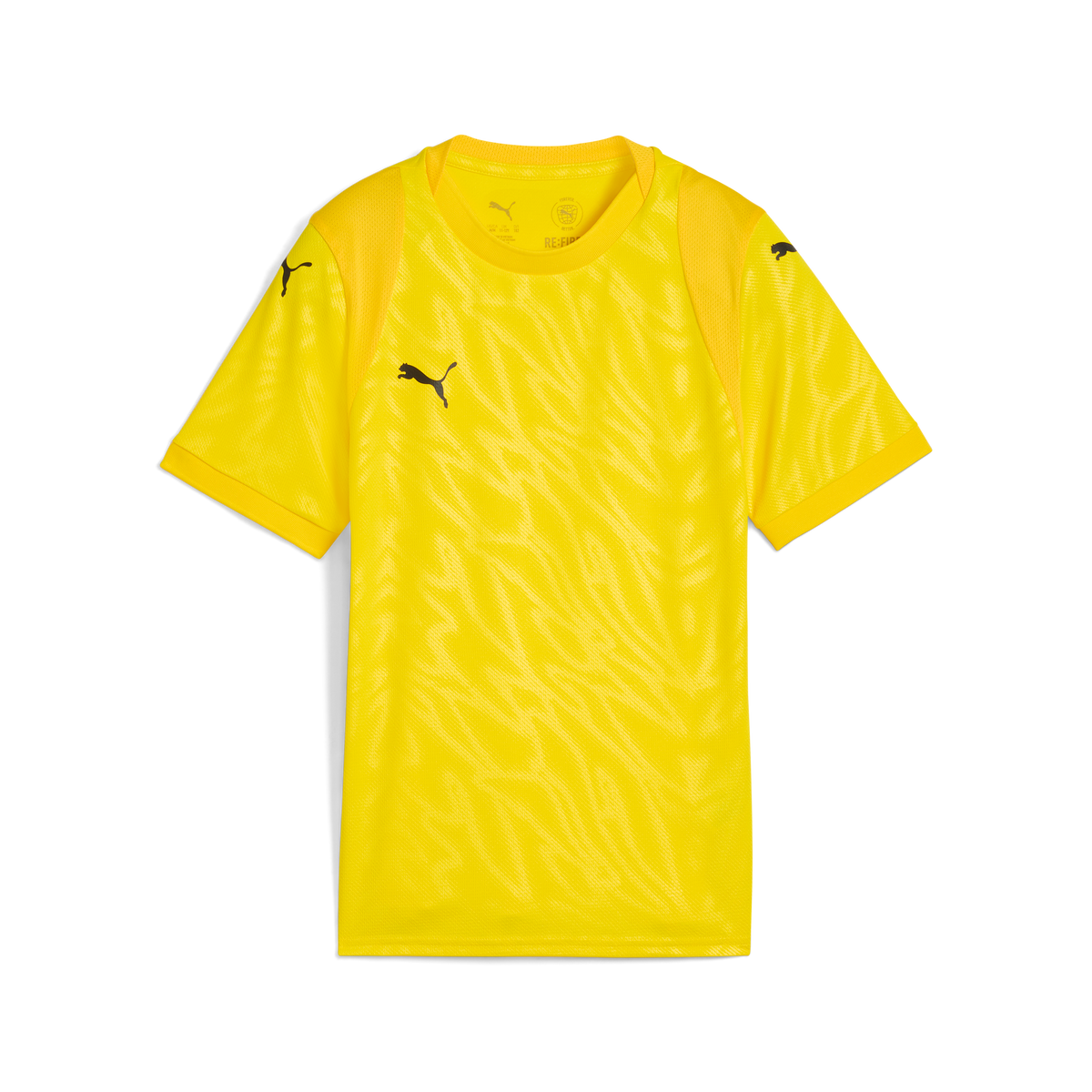 Puma TeamCUP 25 Jersey
