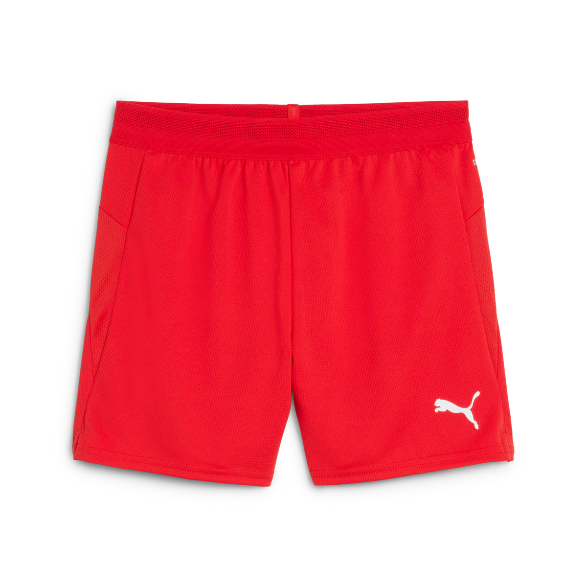 Puma TeamCUP 25 Shorts