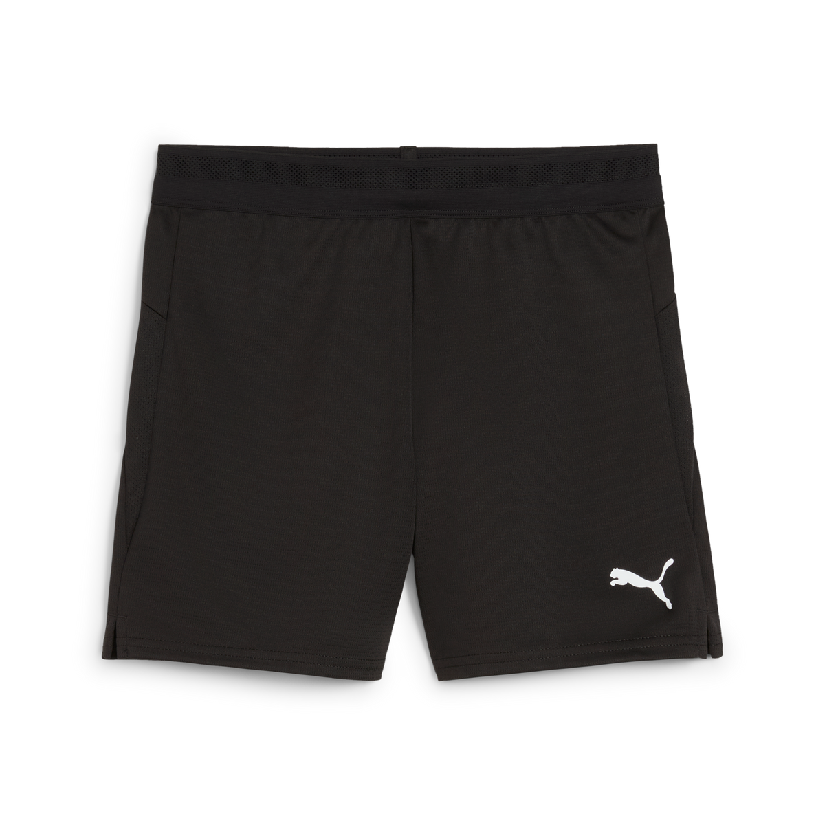Puma TeamCUP 25 Shorts